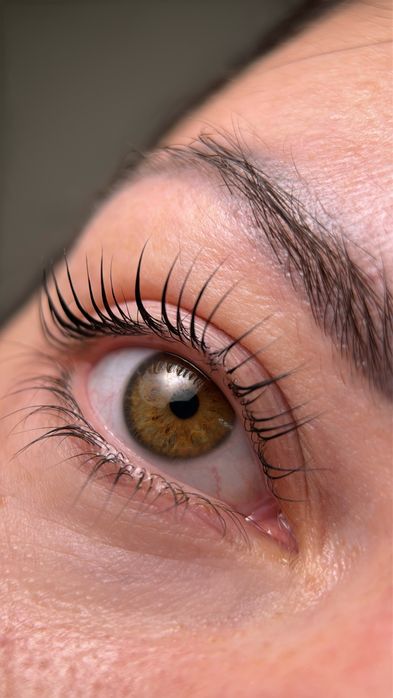 Ламинирование, окрашивание ресниц. Молдаванка вблизи центра