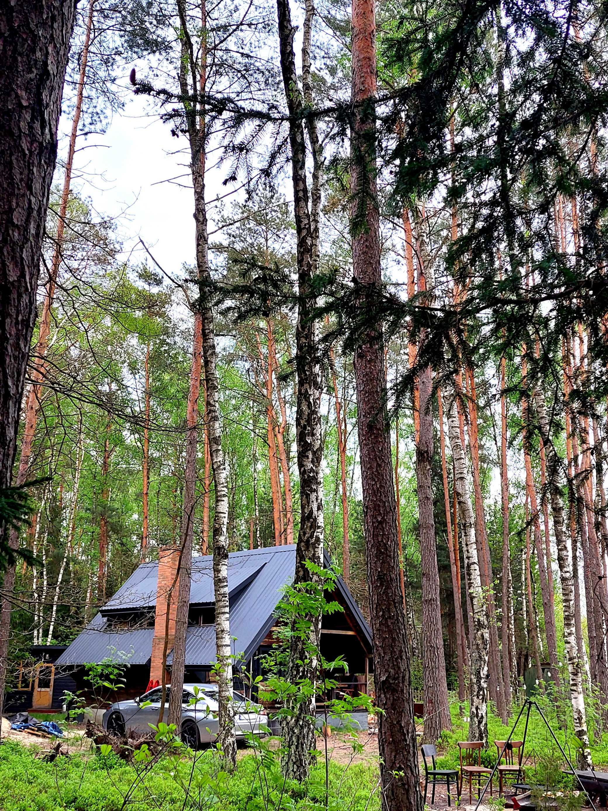 Działka jak z bajki – las, spokój, natura!