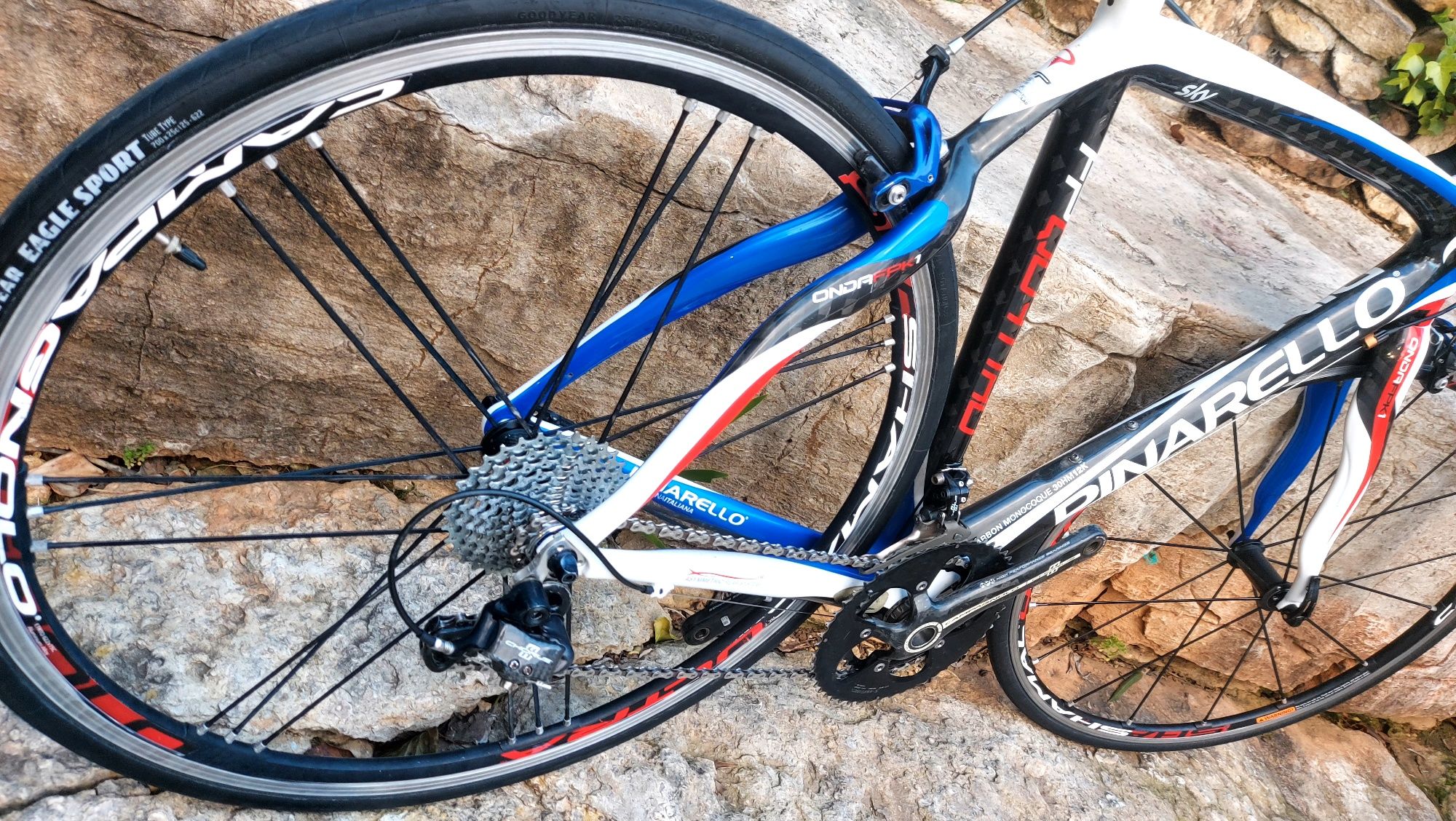 Pinarello FPDuo carbono t54
