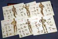 Плакаты Джо Вейдер Система строительства тела Оригинальные