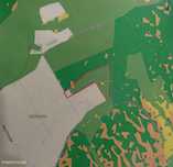 Propriedade 4 hct na zona  Coruche / Almeirim