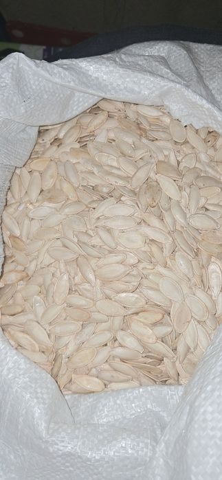 Насіння гарбузове