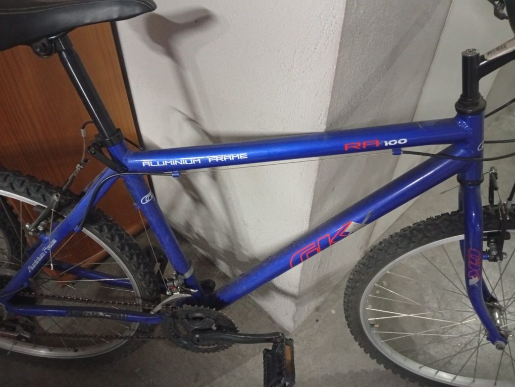 Duas bicicletas adulto