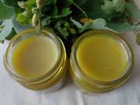 Maść glistnik jaskółcze ziele40ml-luszczyca, grzybica