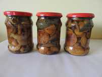 Grzyby marynowane (zestaw 3 x podrzybek) poj.550 ml