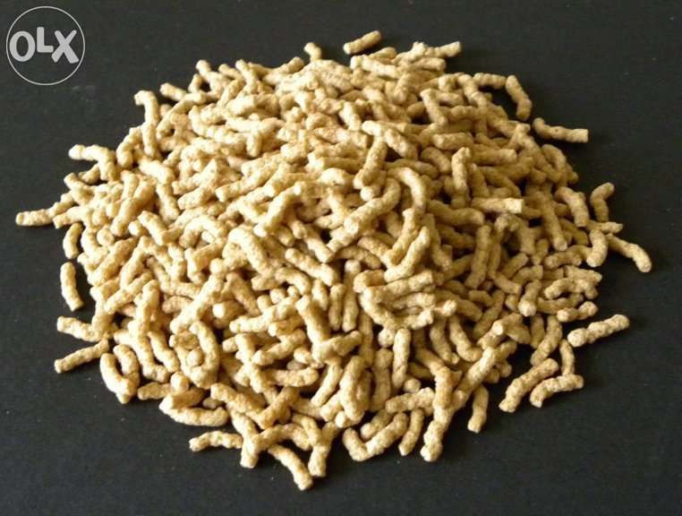 Comida peixes para ciclideos médio e grande porte avulso de Marca