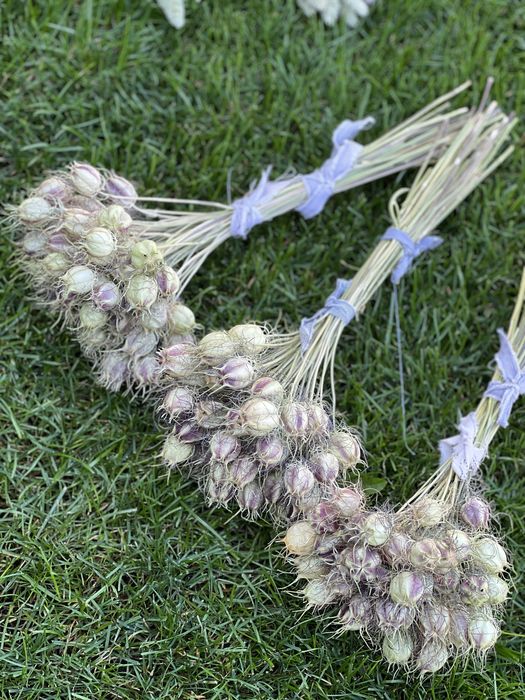 Сухрцвіти, льон, жито, пшениця, овес, фаляріс, нігела, просо