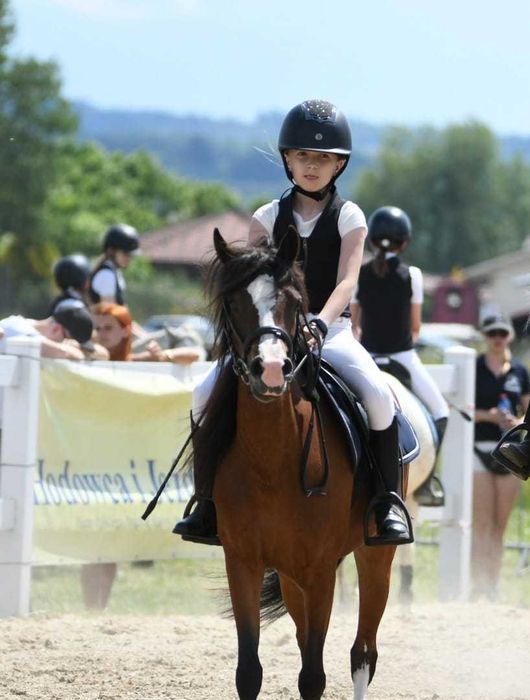 Klacz kuc, sport rekreacja, hodowla