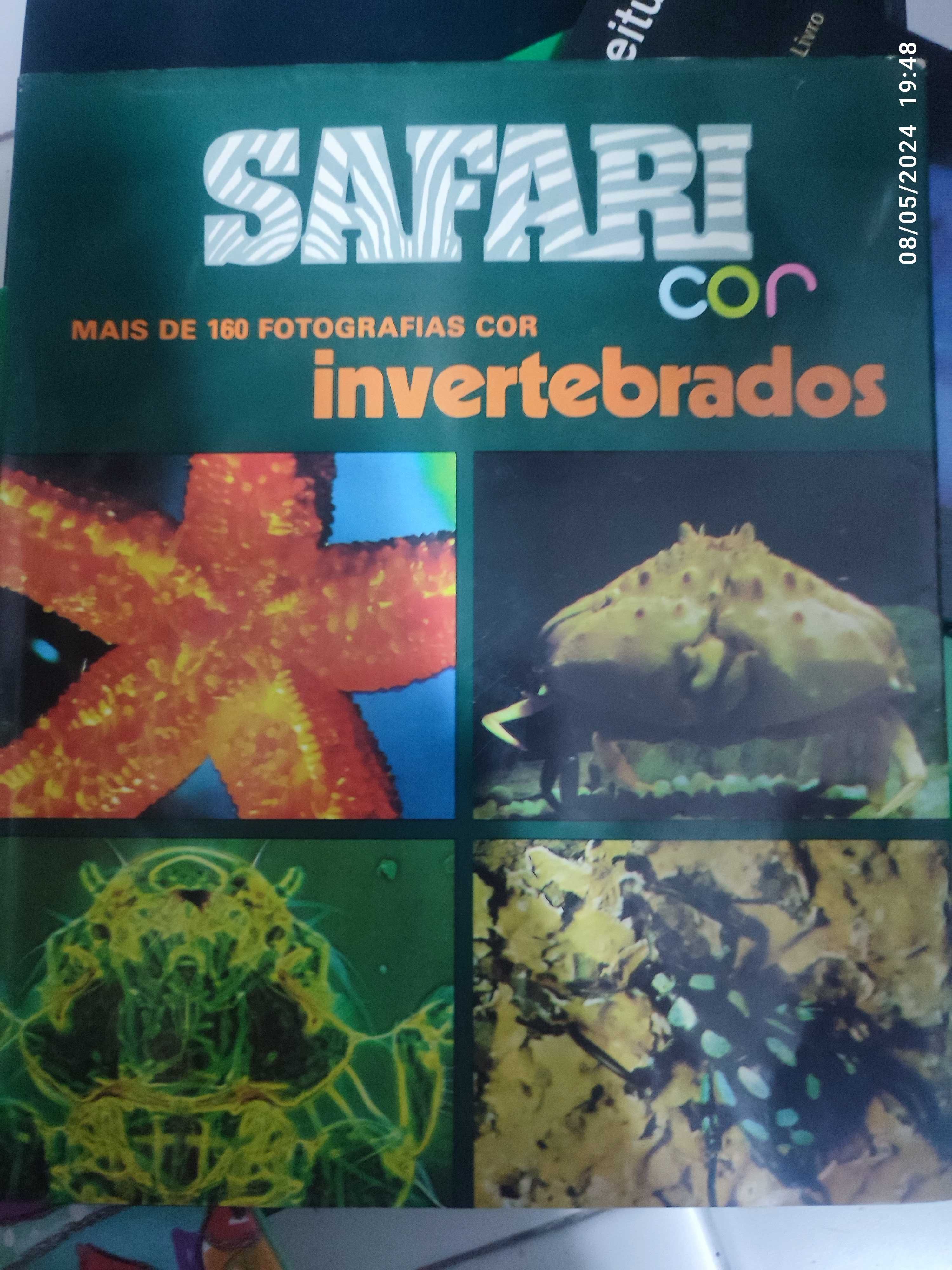 Safari ilustrado - invertebrados