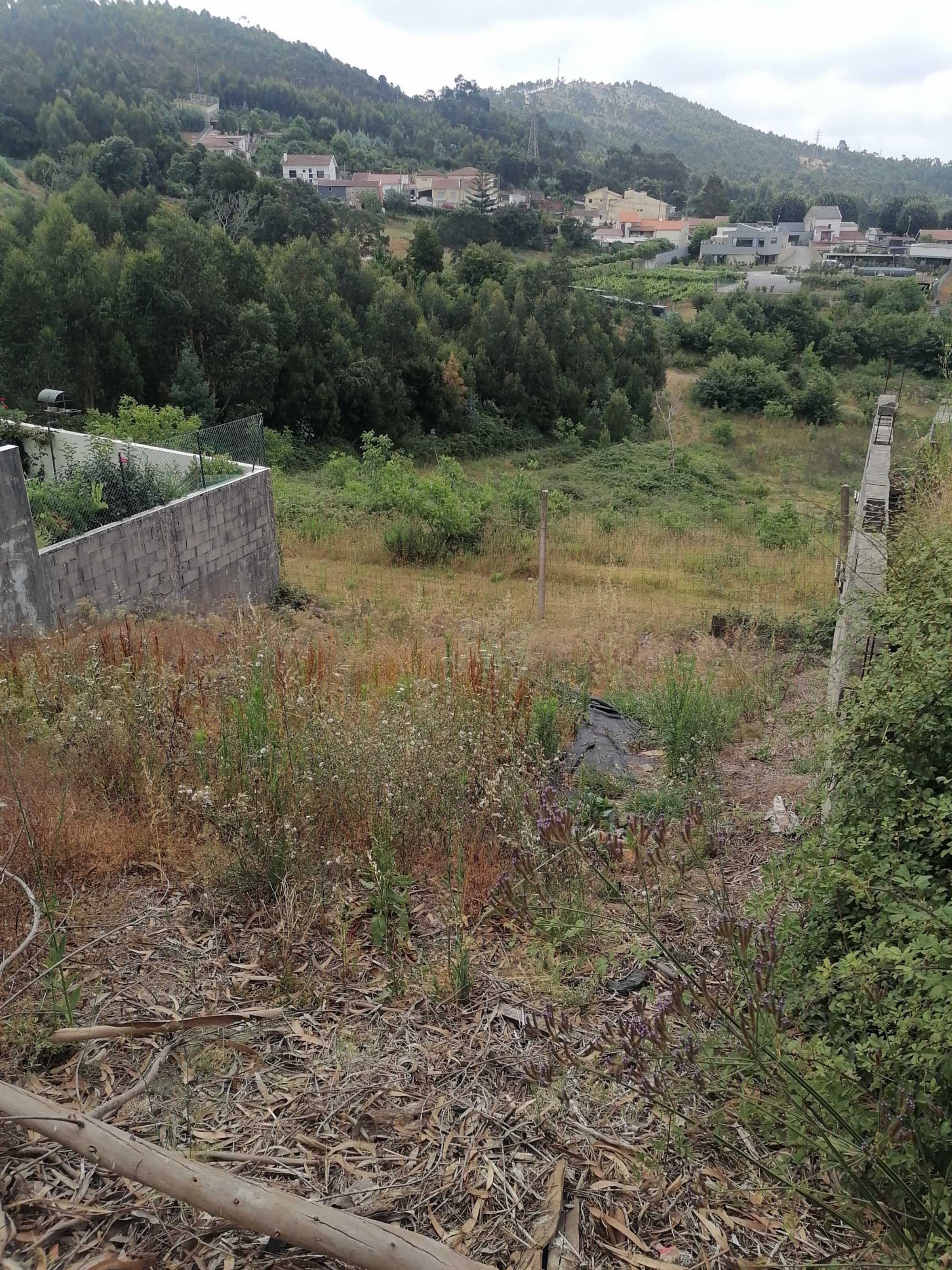 Terreno para Moradia 3 frentes