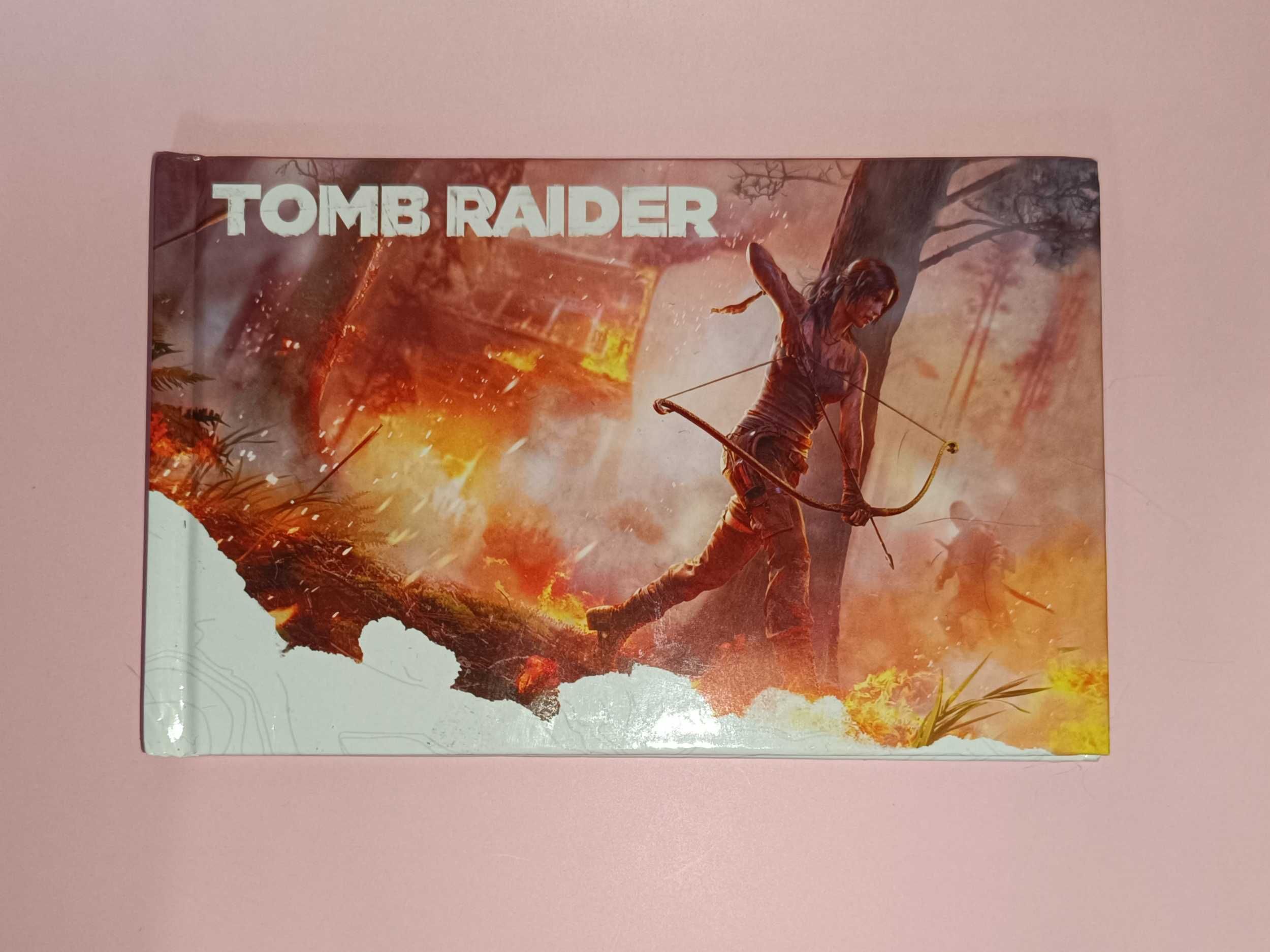 Tomb Raider (2013) mini art book