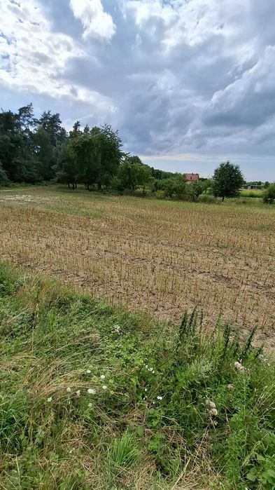 Działka 0,15ha - bezpośrednio przy lesie