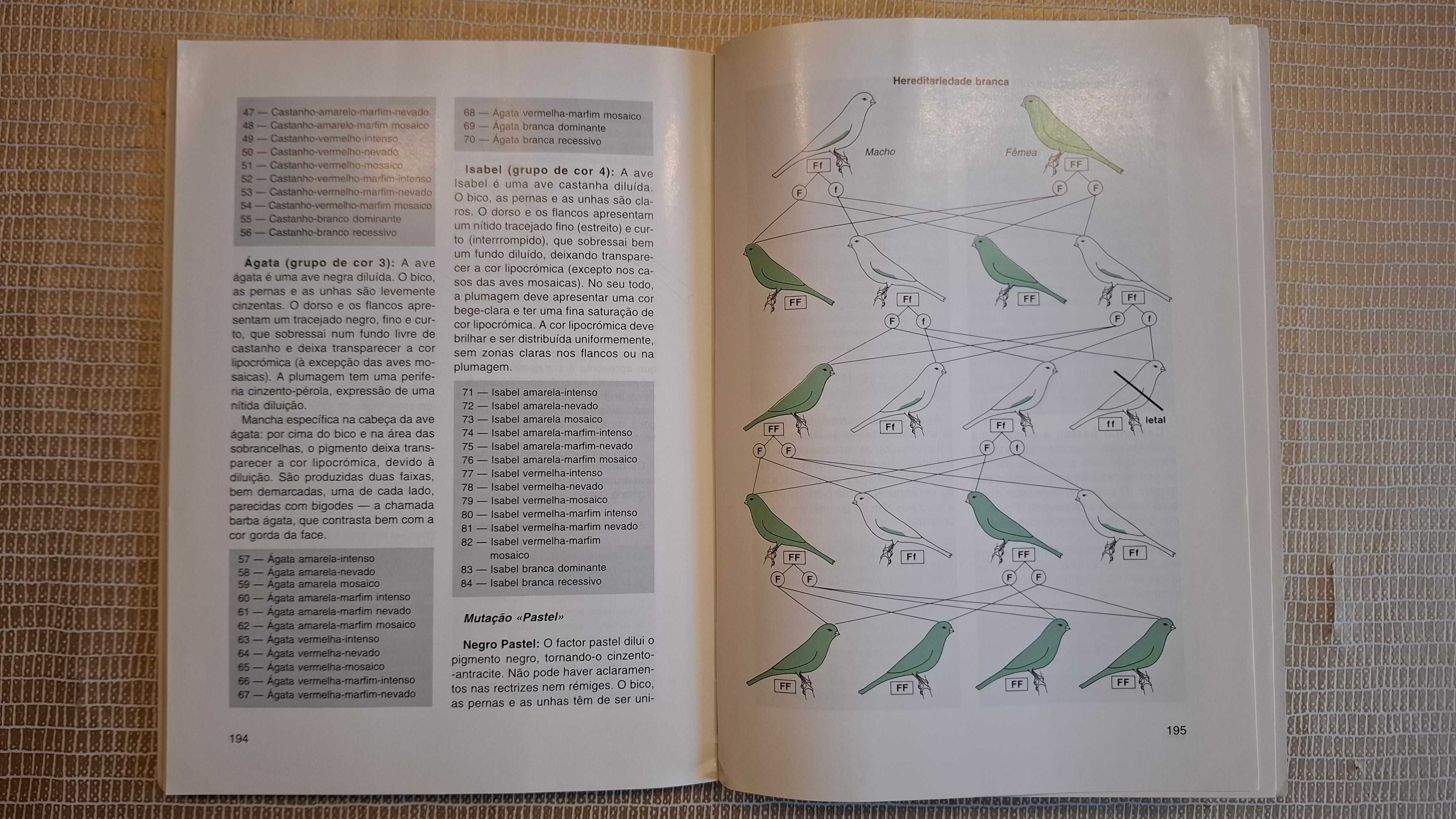 Raças de canários
