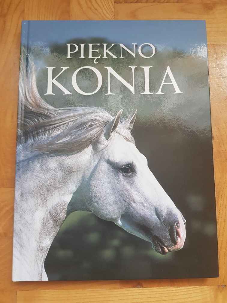 Książka "Piękno konia"