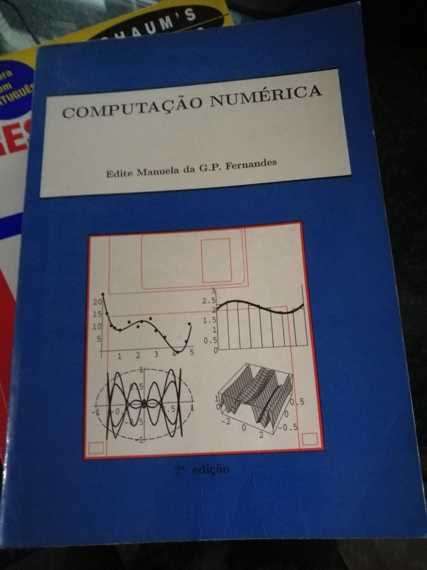 Computação numérica