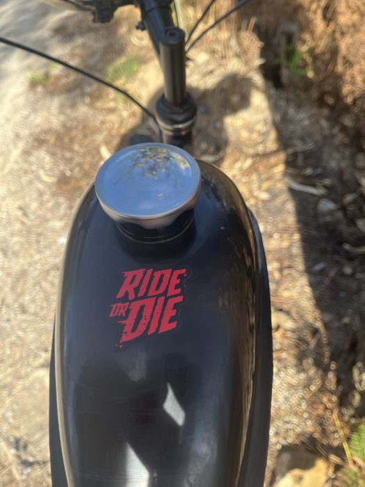 Bicicleta motorizada