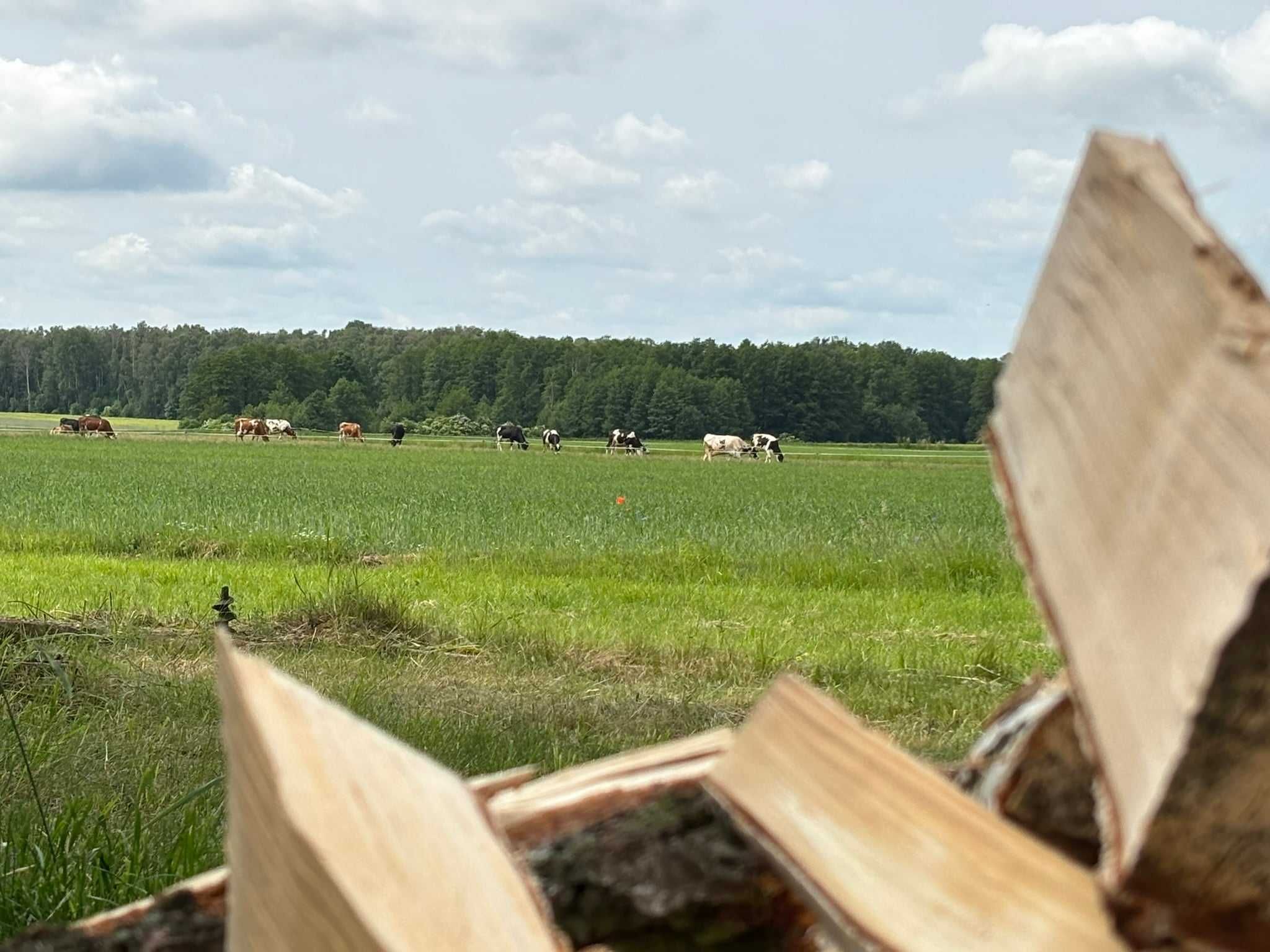 Dom z basenem na Podlasiu- na uboczu wsi