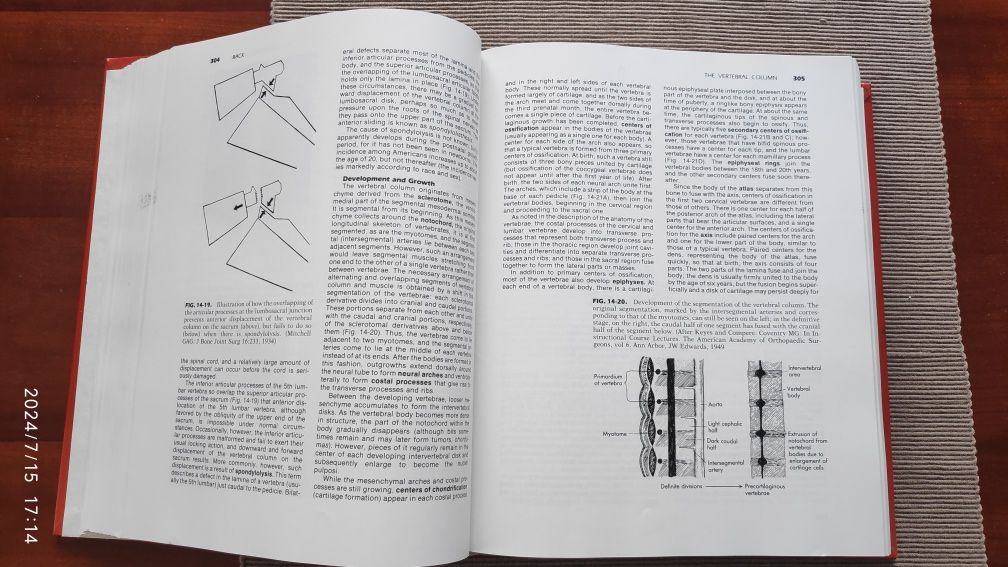 Anatomia człowieka Textbook of Anatomy. Po angielsku