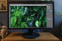 Monitor EIZO ColorEdge CG279X