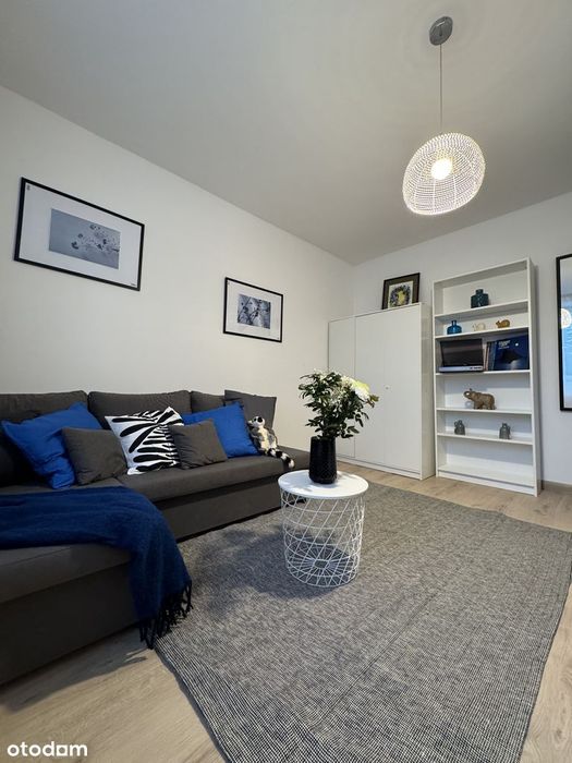 Świeżo po remoncie 2-pokojowe mieszkanie w zielonej dzielnicy