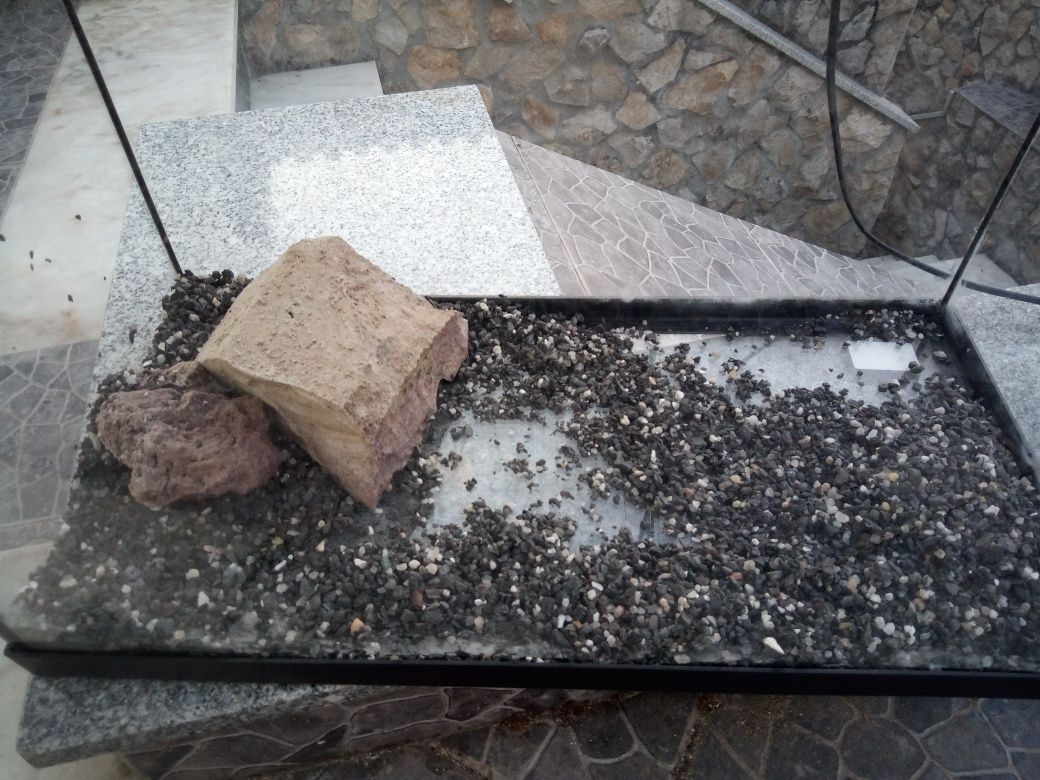 Aquário  de água quente