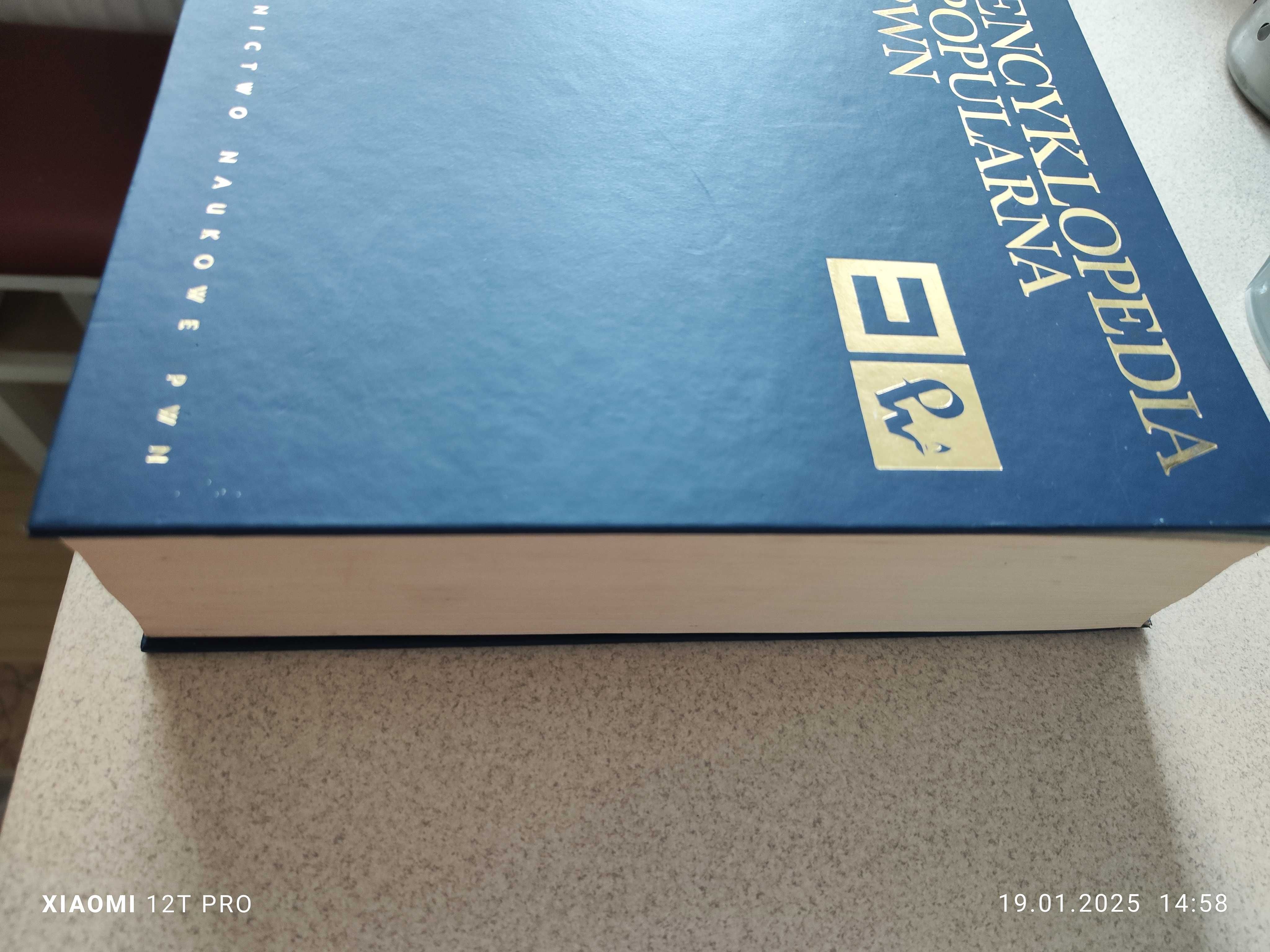 Encyklopedia pwn