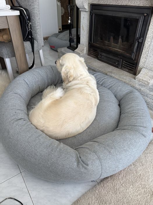 Camas para cao XXL