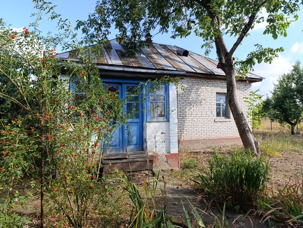 Продається будинок в селі Сеньківка