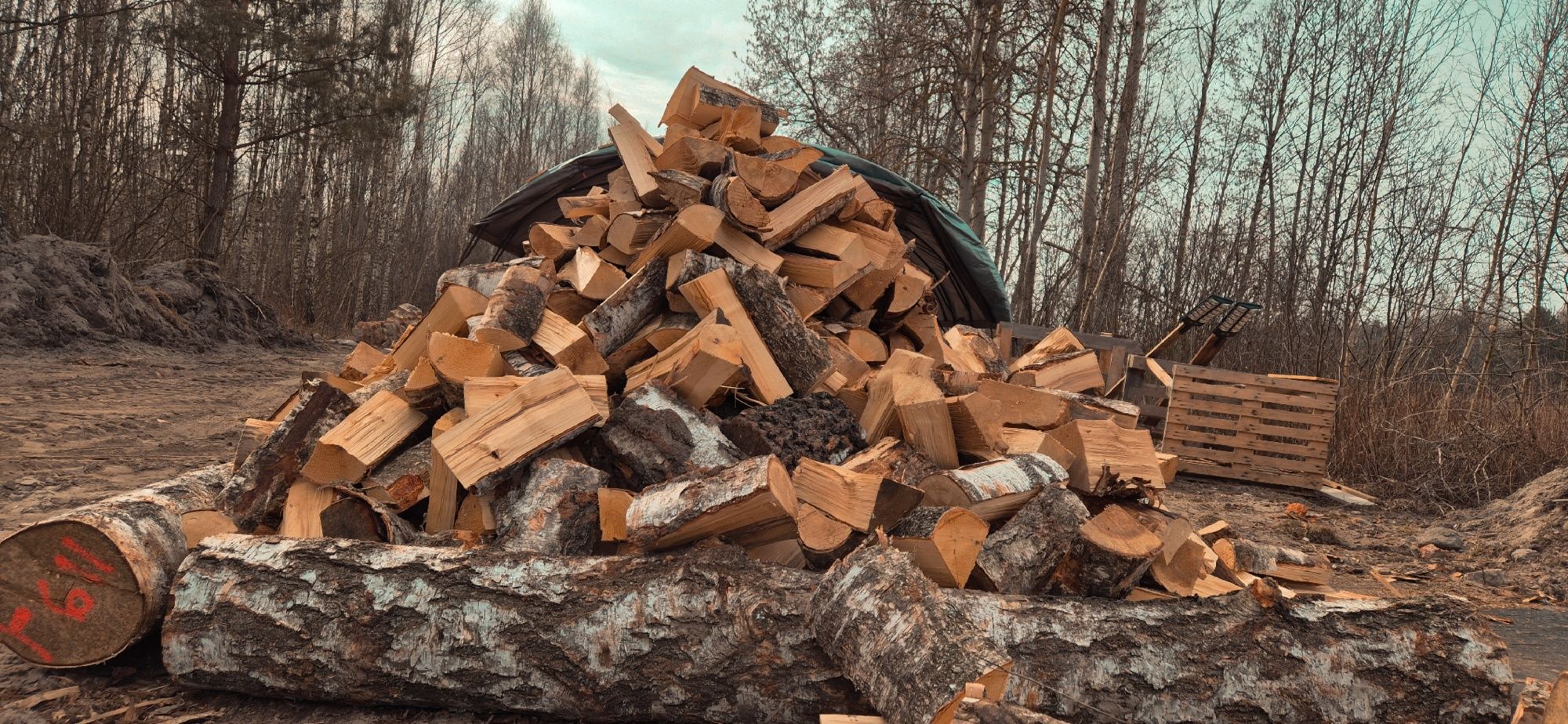DĄB, OLCHA, BRZOZA* Drewno Kominkowe i do pieca( opał opałowe) DOSTAWA