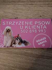 Strzyżenie psów u klienta