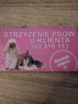 Strzyżenie psów u klienta Łódź i okolice