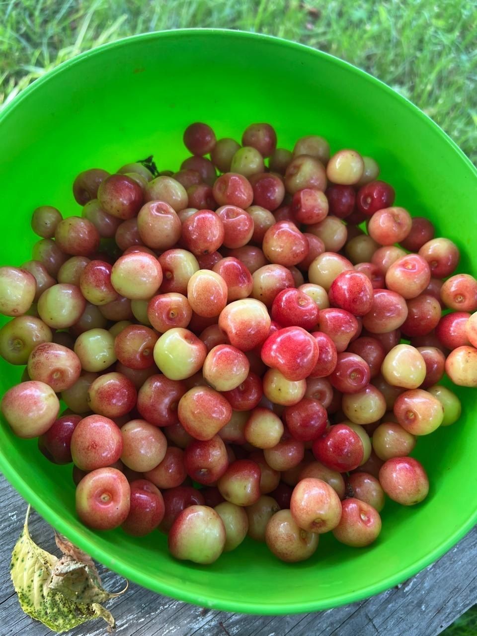Продам отличную дачу на Левобережном-3