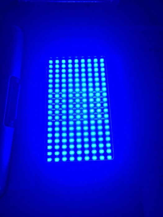 Bioptron Medoligt BluDoc Zepter