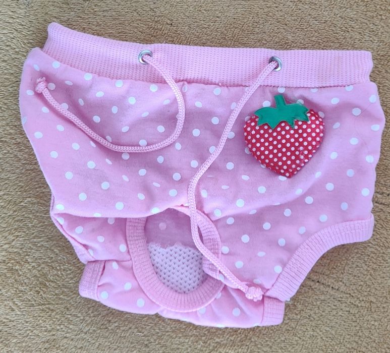 Majtki na cieczkę dla psa