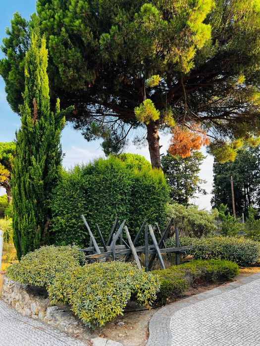 Espaço para Eventos (até 50 pessoas) – Azeitão / Arrábida