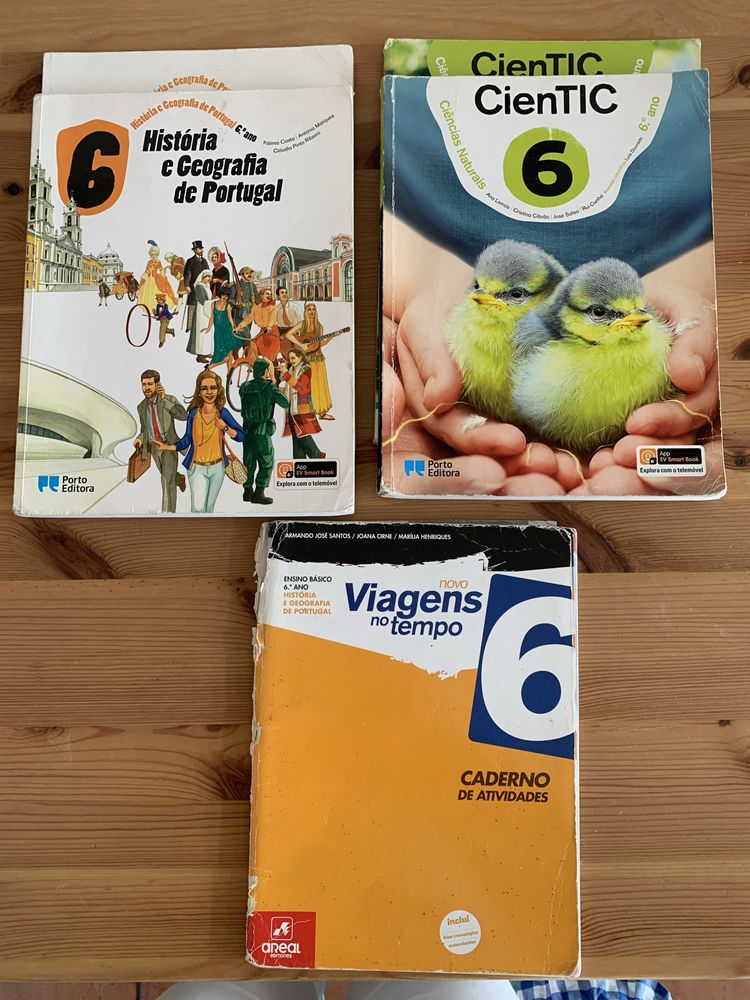 Livros e cadernos de fichas 6ano