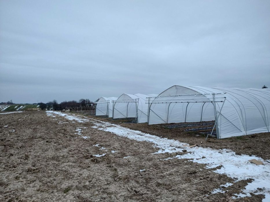 Tunel foliowy 7,5 lub 7m x 30 m gotyk