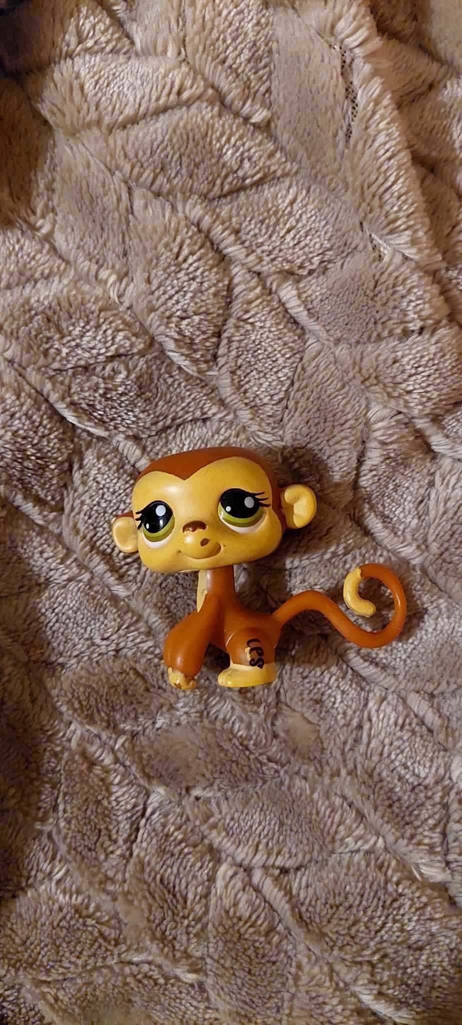 lps littlest pet shop hasbro małpa małpka