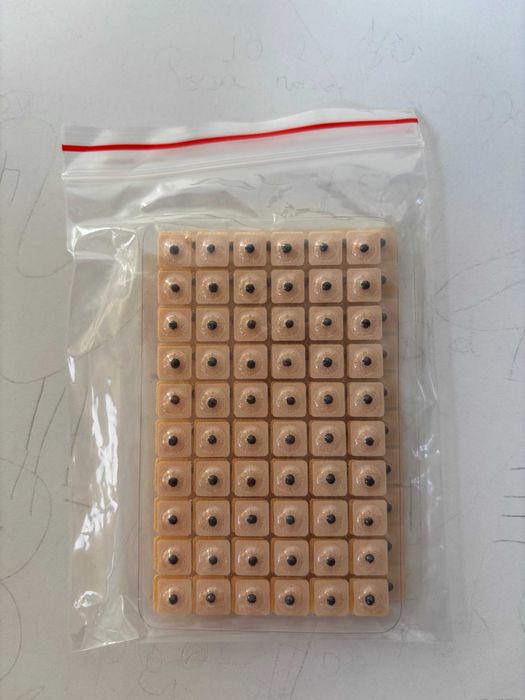 Pack Acupuntura-Auriculoterapia - Agulha - Pyonex - Semente Mostarda