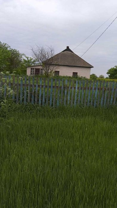 Продаж будинку з  ділянкою, Київська обл., с. Вінинці