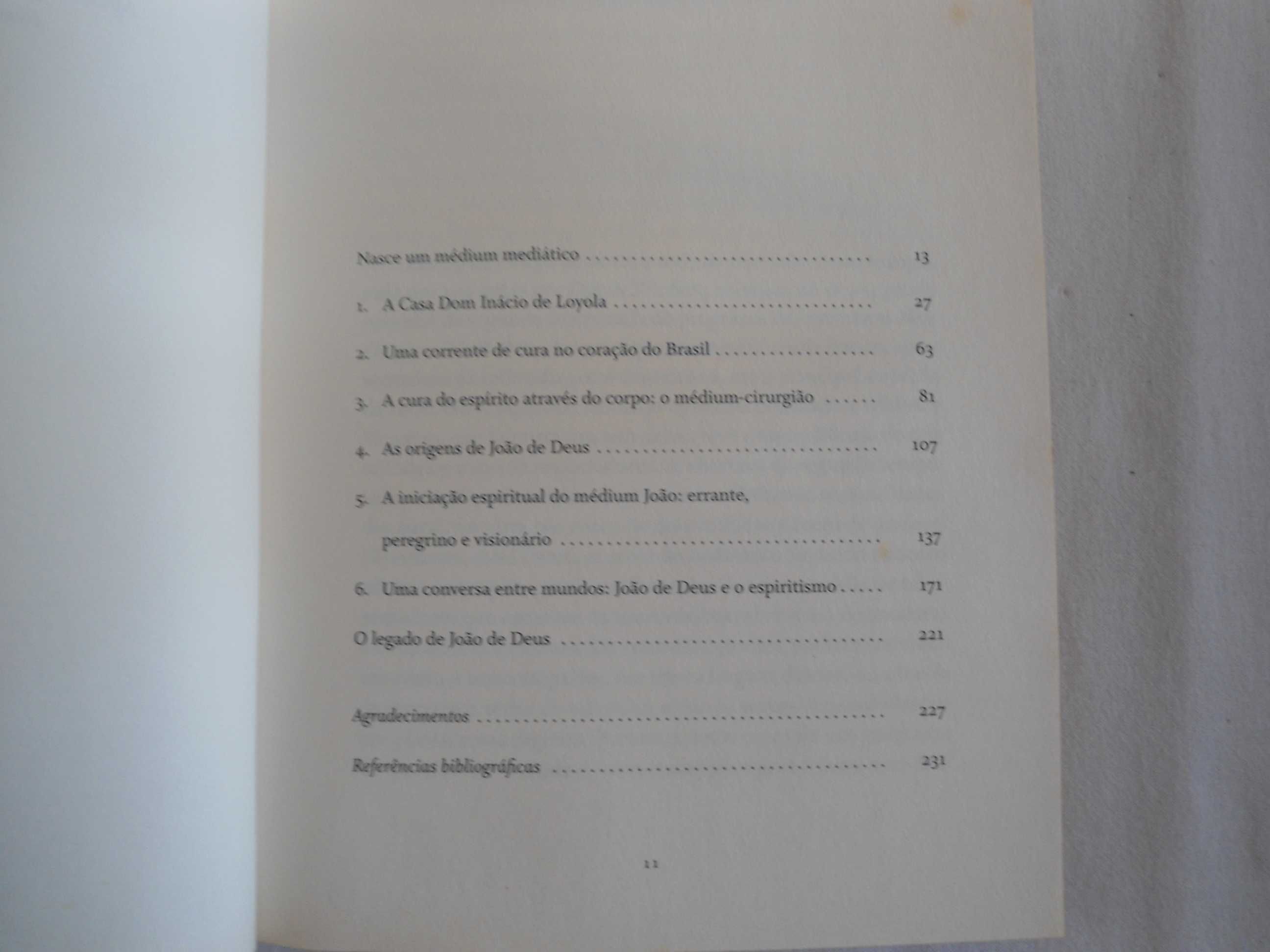 O Segredo da Cura por Maria Helena P T Machado