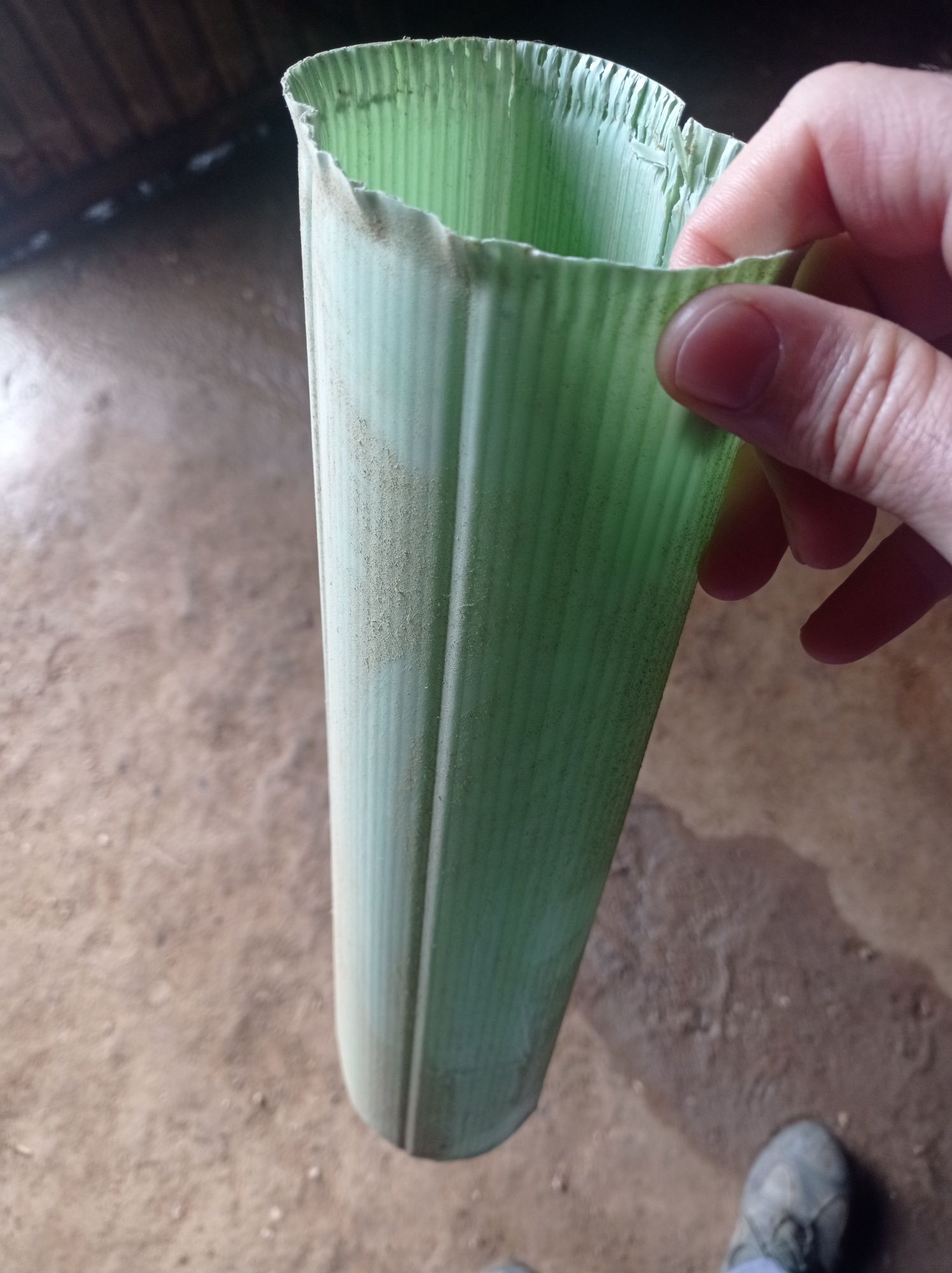 Canudos / Protetores térmicos enxertos vinha