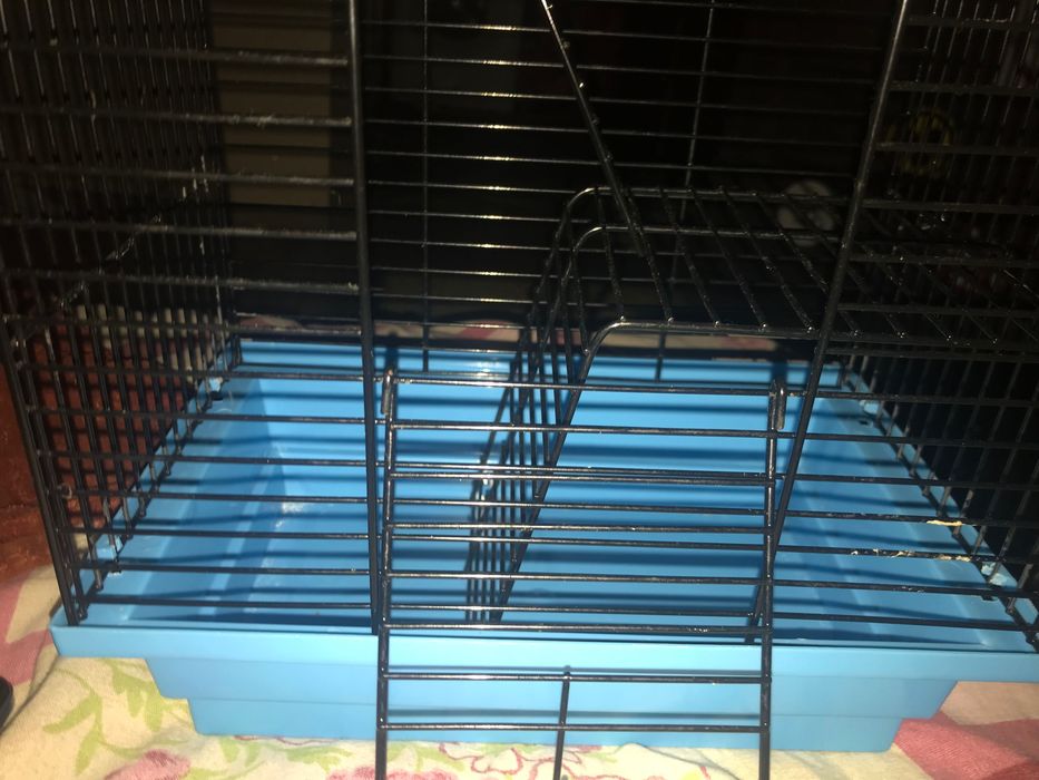 Клітка для гризунів