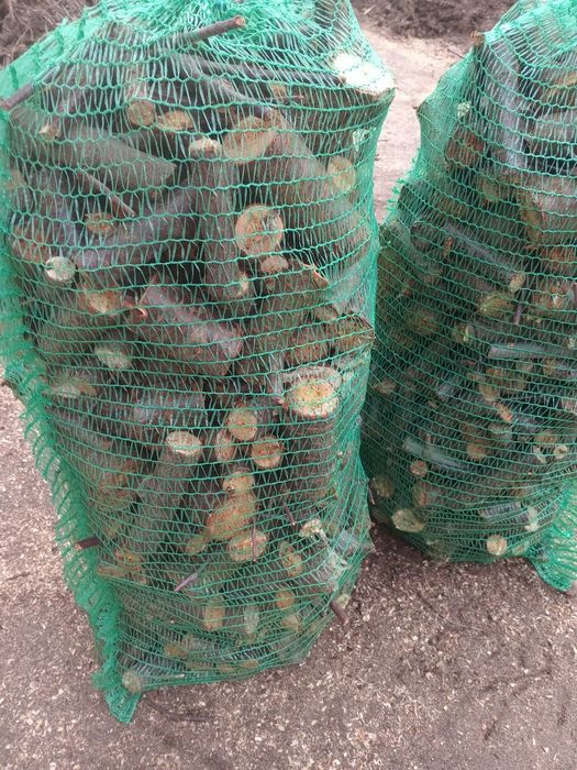 Сухі дрова вишні сітка 50