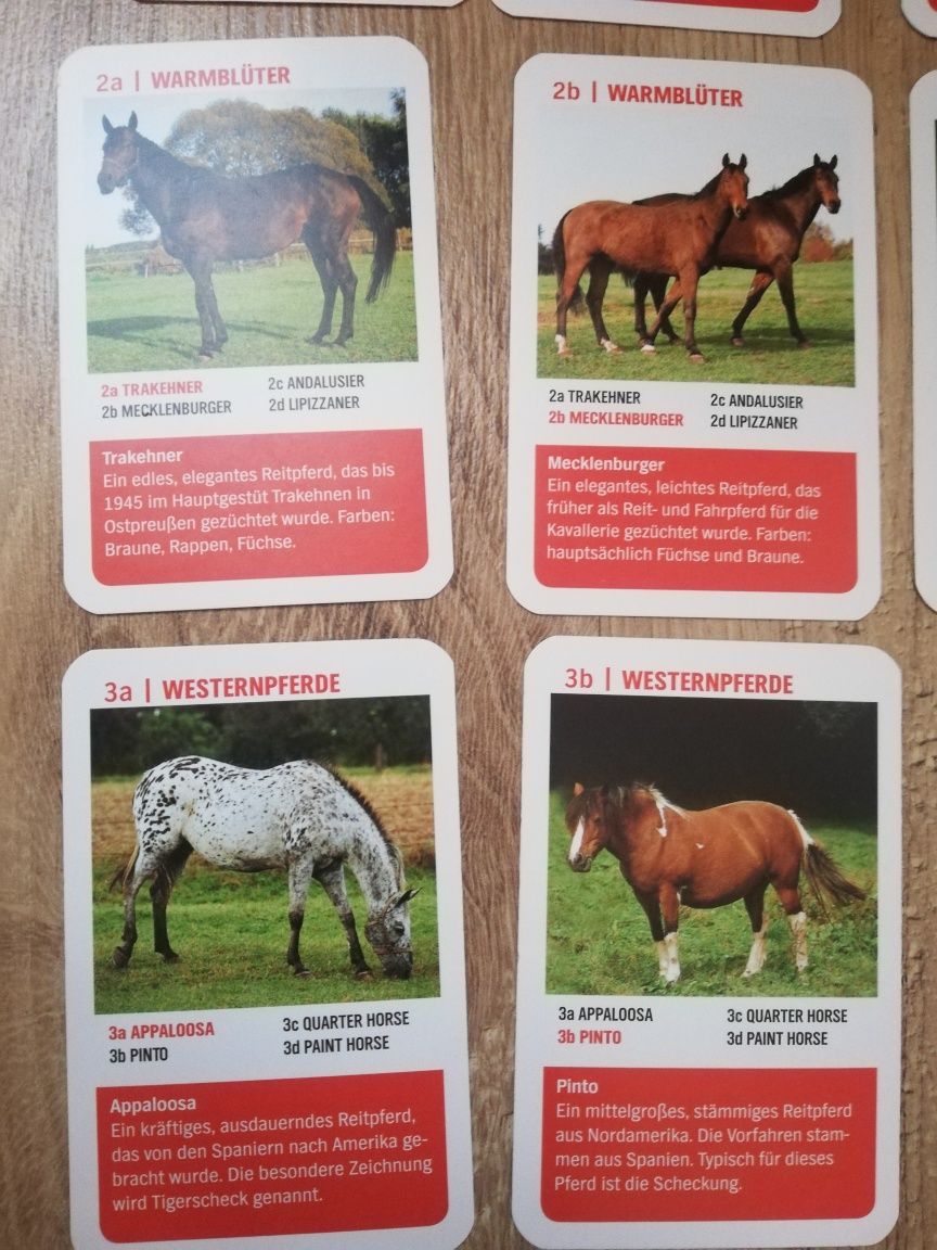 Karty do gry Quartett kwartet niemieckie gra konie kucyki kuce pony