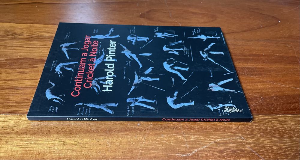 Harold Pinter - Continuam a Jogar Cricket à Noite
