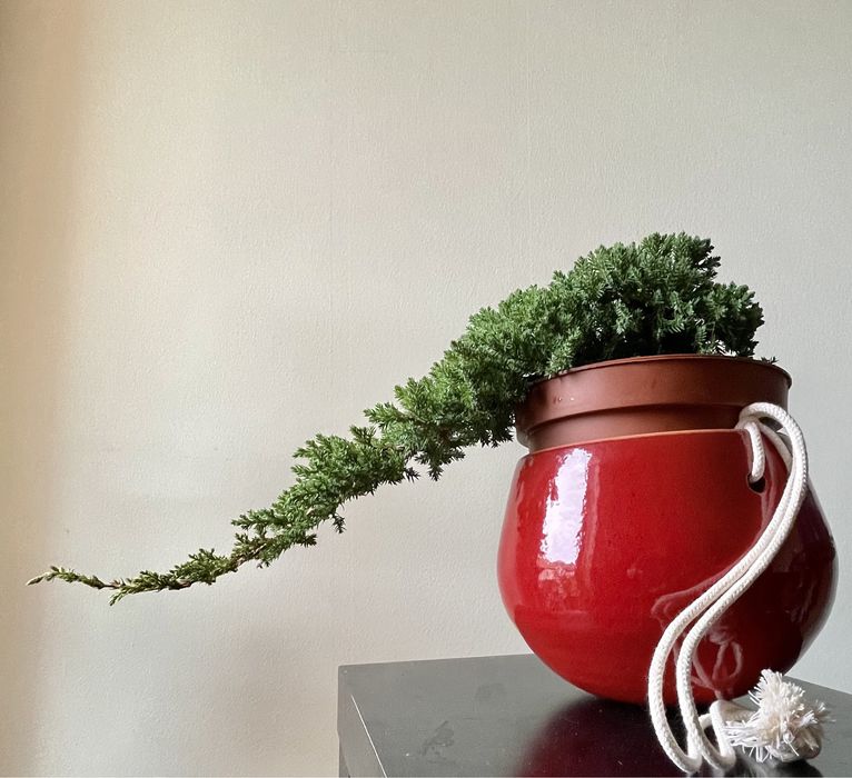Vaso Floreira Pendurar Bonsai,  Suculentas