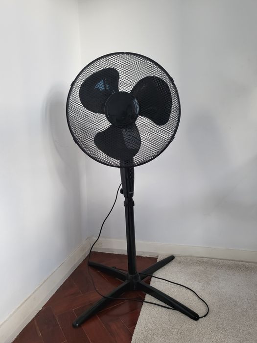 Ventoinha de Pé Preta
