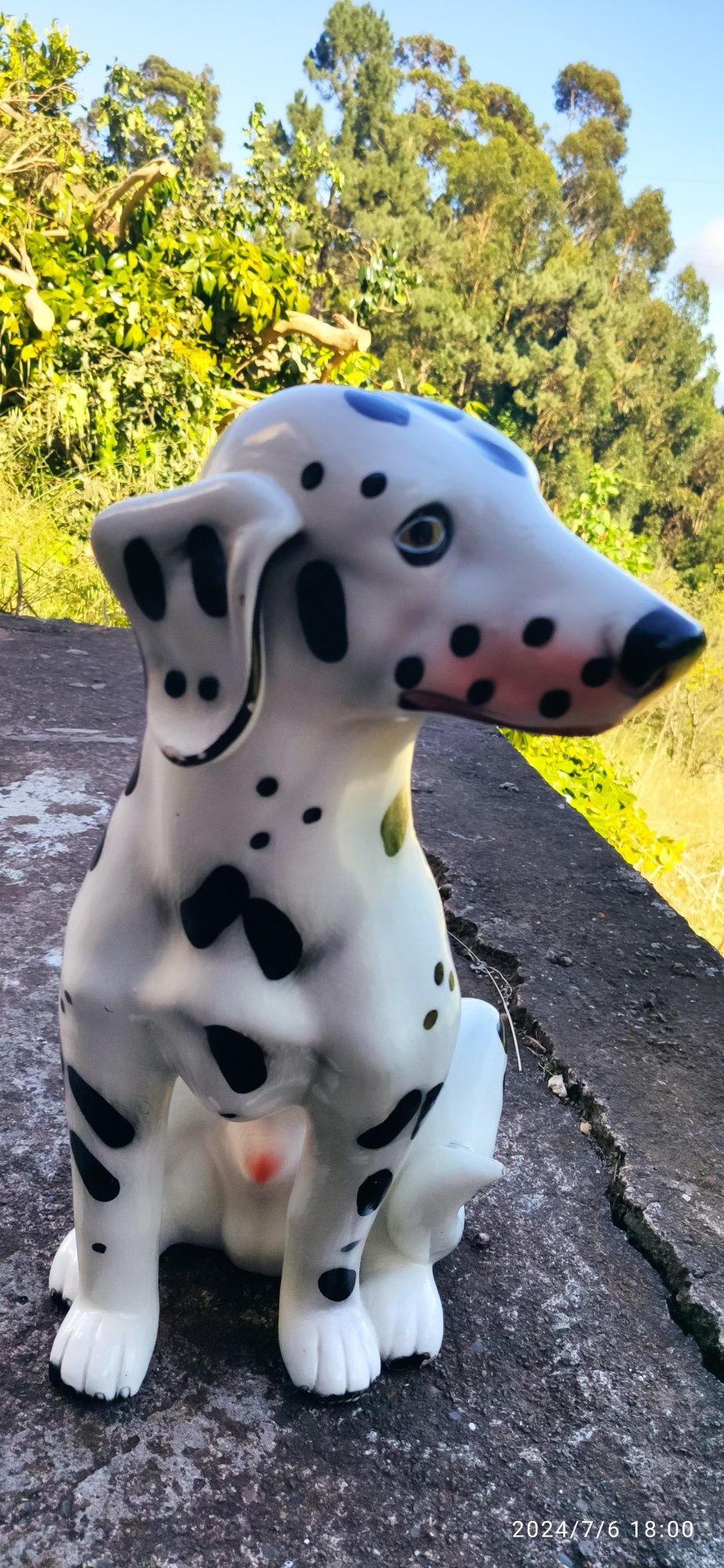 Cão de loiça dálmata