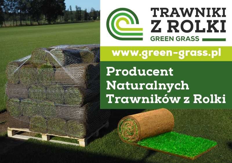 Trawa z rolki. Trawnik  rolowany. Trawnik sportowy ogrodowy. Producent